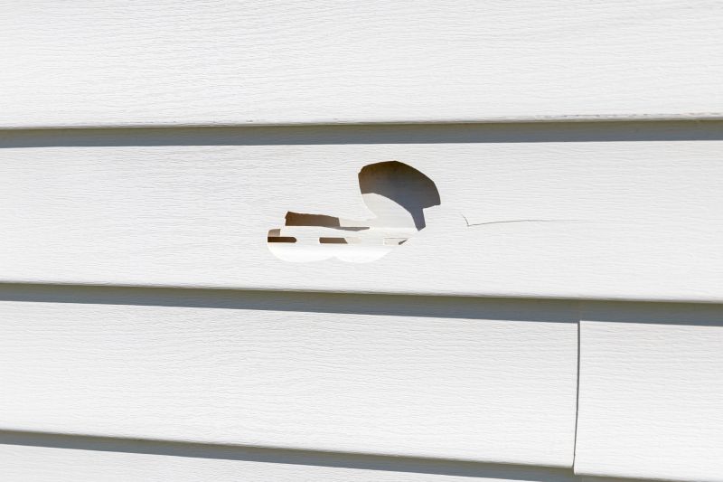 Vinyl Siding Repair Image 13