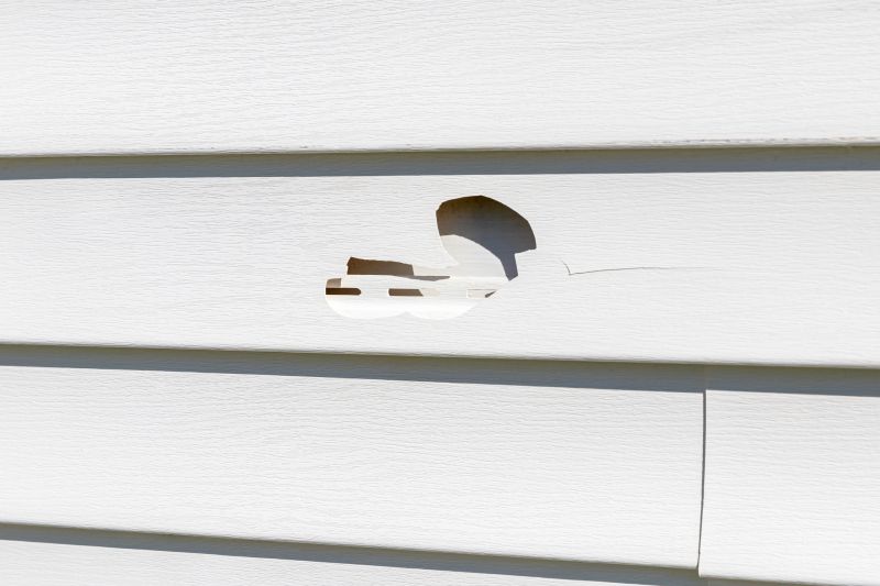 Vinyl Siding Repair Image 4